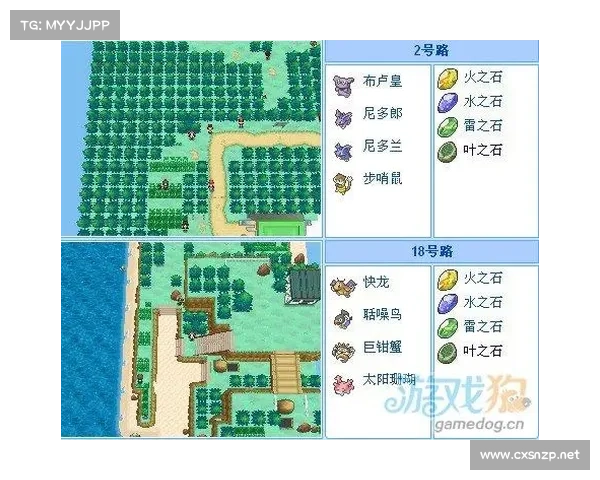 口袋妖怪黑白金手指下载与破解常见问题解析及解决方案 口袋妖怪黑白金手指下载与破解常见问题解析及解决方案