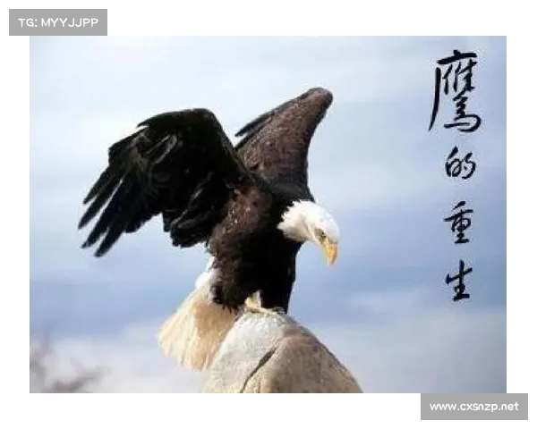 在极限求生中探寻心灵救赎的重要性与人性重生的力量 在极限求生中探寻心灵救赎的重要性与人性重生的力量