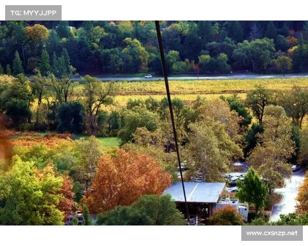 北美洲主要杯赛概览及其历史发展与影响力分析 北美洲主要杯赛概览及其历史发展与影响力分析