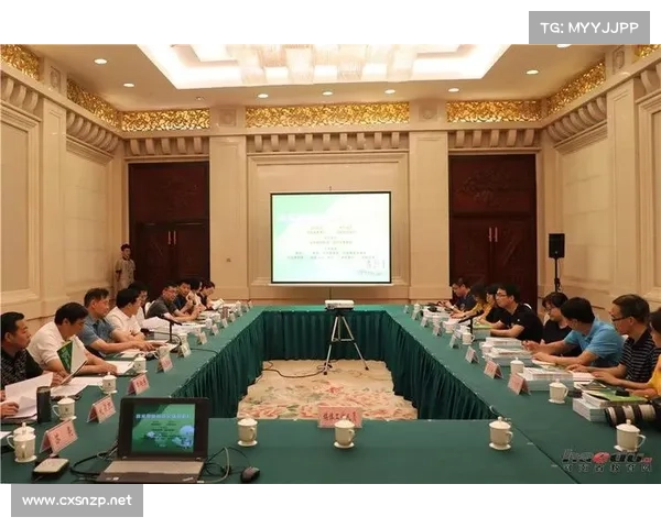 围绕足球虚拟队参与方式深入探索实用操作指南策略全面优化方案集